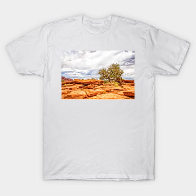Juniper Tree, Capitol Reef National Park T-Shirt by Gestalt Imagery